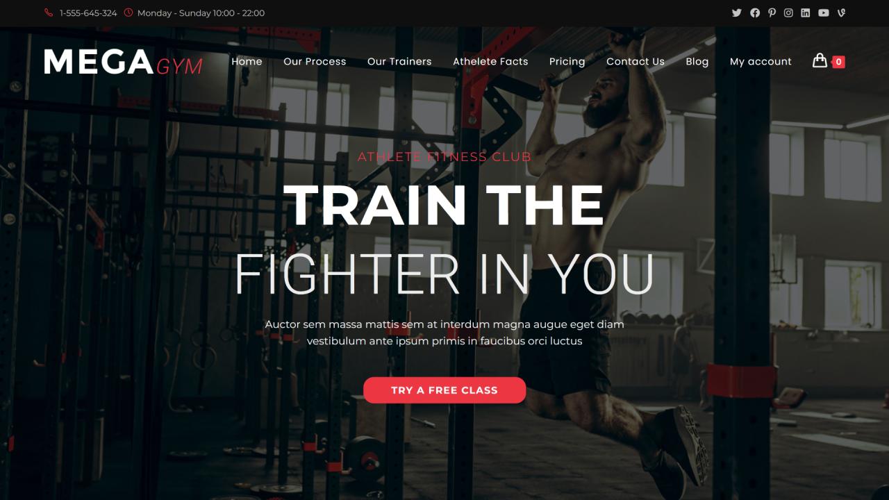 How to Make a Website for Gym, Fitness Center or Yoga Center with WordPress & Elementor 2023